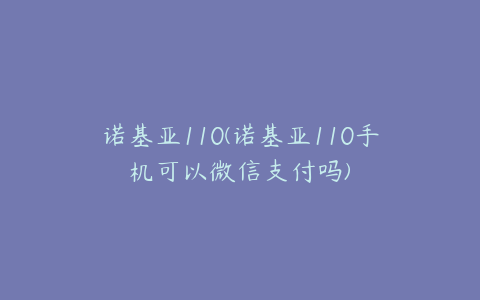 诺基亚110(诺基亚110手机可以微信支付吗)