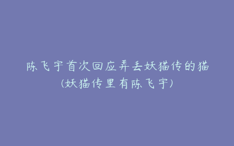 陈飞宇首次回应弄丢妖猫传的猫(妖猫传里有陈飞宇)