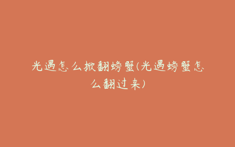 光遇怎么掀翻螃蟹(光遇螃蟹怎么翻过来)