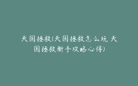 天国拯救(天国拯救怎么玩 天国拯救新手攻略心得)