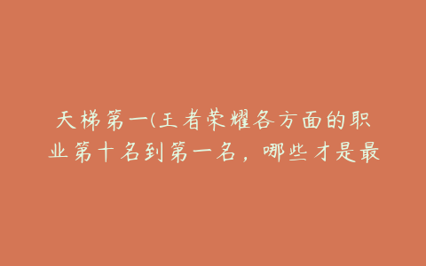 天梯第一(王者荣耀各方面的职业第十名到第一名，哪些才是最强的？)