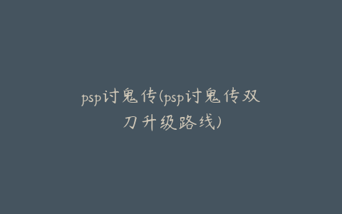 psp讨鬼传(psp讨鬼传双刀升级路线)