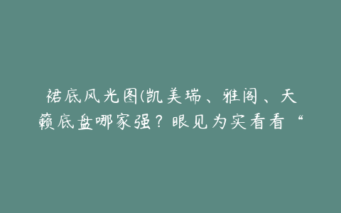 裙底风光图(凯美瑞、雅阁、天籁底盘哪家强？眼见为实看看“裙下风光”！)