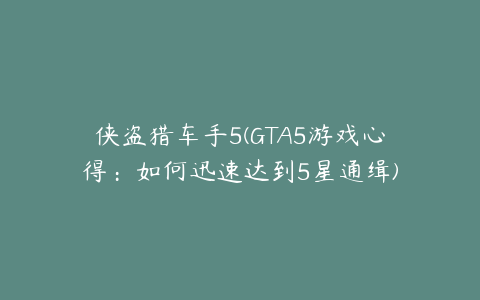 侠盗猎车手5(GTA5游戏心得：如何迅速达到5星通缉)