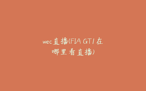 wec直播(FIA GT1在哪里看直播)