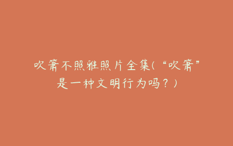 吹箫不照雅照片全集(“吹箫”是一种文明行为吗？)