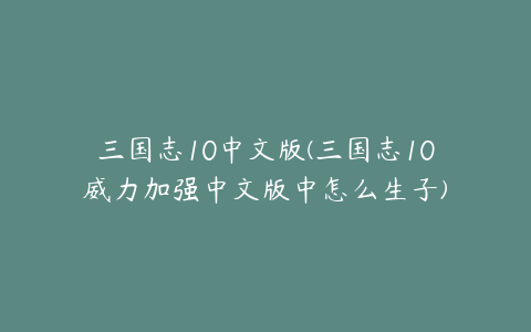 三国志10中文版(三国志10威力加强中文版中怎么生子)