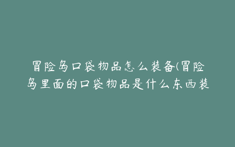 冒险岛口袋物品怎么装备(冒险岛里面的口袋物品是什么东西装备在哪个位置)