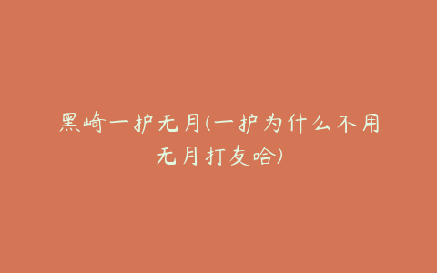 黑崎一护无月(一护为什么不用无月打友哈)