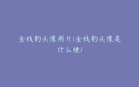 金钱豹头像图片(金钱豹头像是什么梗)