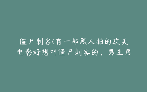 僵尸刺客(有一部黑人拍的欧美电影好想叫僵尸刺客的，男主角拿着一把刀的)