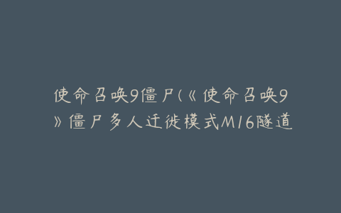 使命召唤9僵尸(《使命召唤9》僵尸多人迁徙模式M16隧道打法详解)