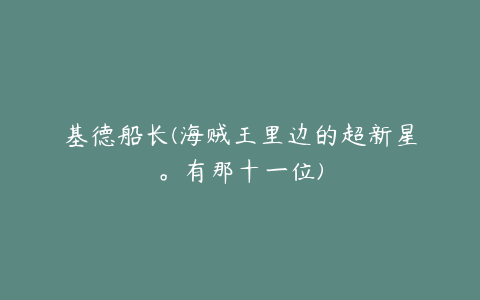 基德船长(海贼王里边的超新星。有那十一位)