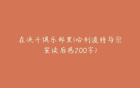 在决斗俱乐部里(哈利波特与密室读后感200字)