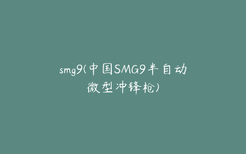 smg9(中国SMG9半自动微型冲锋枪)