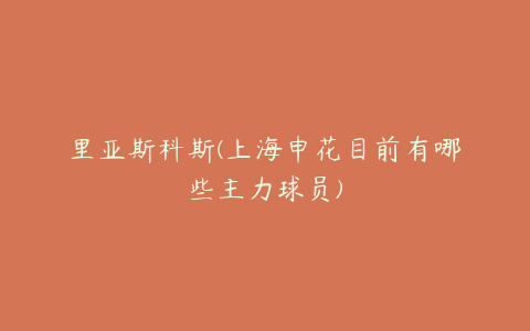 里亚斯科斯(上海申花目前有哪些主力球员)