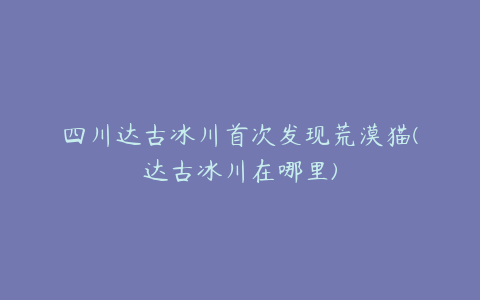 四川达古冰川首次发现荒漠猫(达古冰川在哪里)