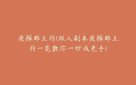 夜探郡王府(双人副本夜探郡王府一览教你一秒成老手)