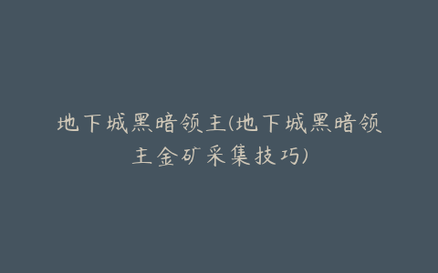 地下城黑暗领主(地下城黑暗领主金矿采集技巧)