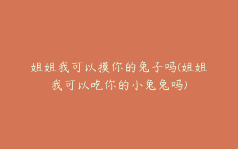 姐姐我可以摸你的兔子吗(姐姐我可以吃你的小兔兔吗)