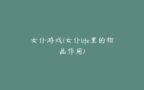 女仆游戏(女仆life里的物品作用)